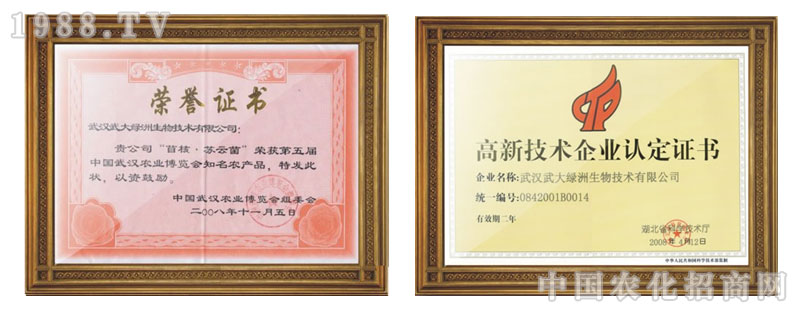 武漢武大綠洲生物技術(shù)有限公司