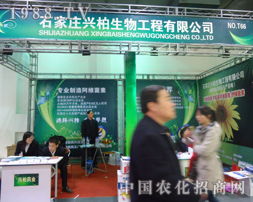 ʯ���f�d�������ںӱ�ʡֲ��������������