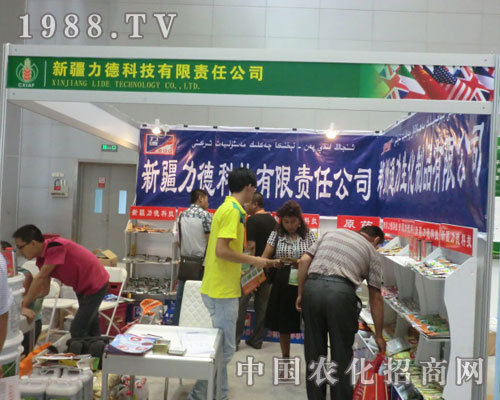 �½����¹�˾�����½��r����