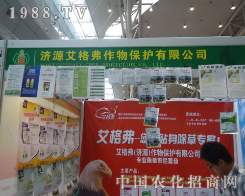 ���񸥡������N�����݌�����