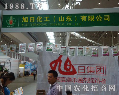 ����ˎ��������!