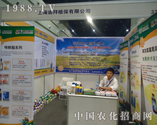 �ϰ�ֲ����ꑺ���ʡ�r(n��ng)�Y���ו�