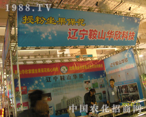 �ڷ������������|����ɽ�A���Ƽ�