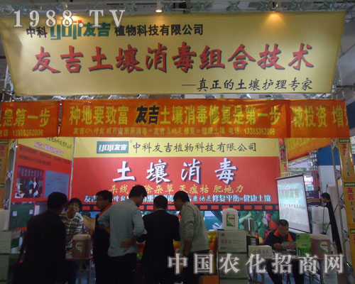 �Ѽ����������������o�팣��