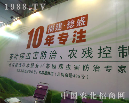 ������ʢ10�ꌣ(zhu��n)ע