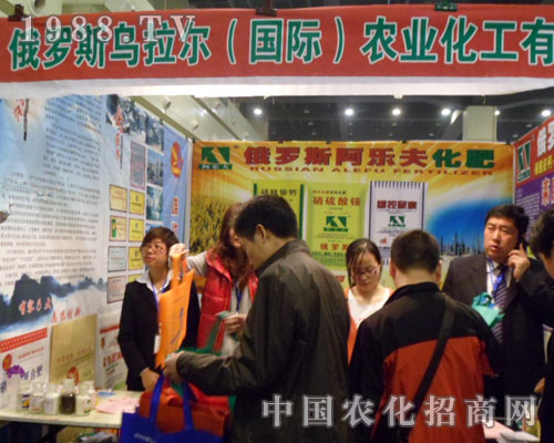 ���ݷ��Ͻ��ו�(hu��)�ϵ����⡪������������