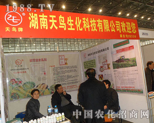 ���������B���Ї�ֲ���p����(hu��)չ�L(f��ng)��