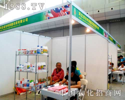 ���ݝ����r��ʢ�b��ϯ2012����ľ�R�r����