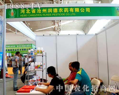 ���ݝ����r��ʢ�b��ϯ2012����ľ�R�r����