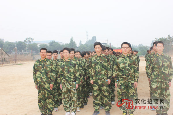 組建團(tuán)隊(duì)