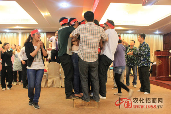 團(tuán)隊(duì)的力量