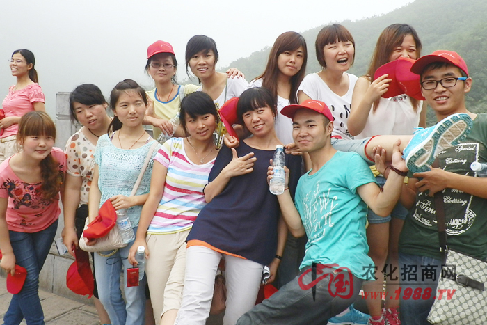 ���Ƿ�������