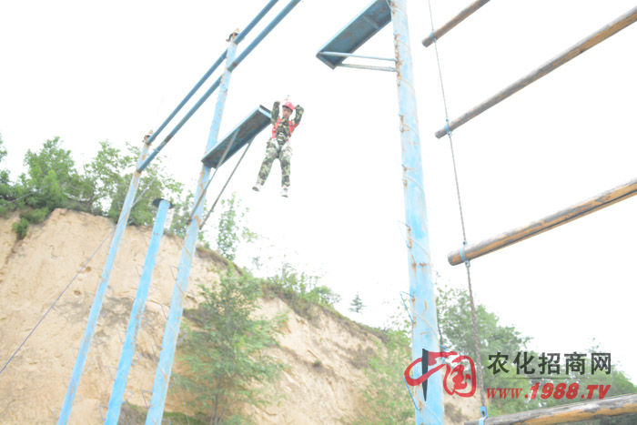 ��Щ����ֻ���ǲ����нY(ji��)������ֻ�����˲�֪���Լ��ɲ�����