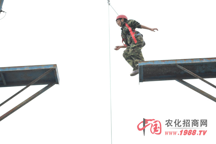 ��Ӗ(x��n)�нo��ӡ����̵��ǡ�ä�˷�ꇡ���������·���߿Ք����������I(y��)�����Ȏׂ�(g��)�(xi��ng)Ŀ����