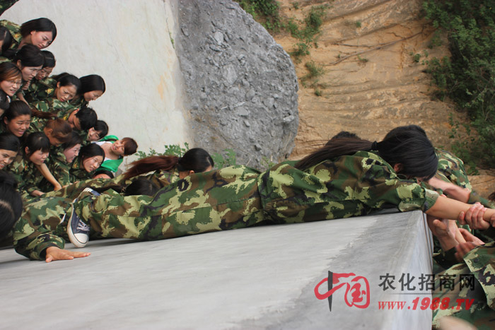 �ġ���������·���������I(y��)�����ɂ�(g��)�Α��ǎ��o��Ҹ��|�Ӱ푵ăɂ�(g��)�(xi��ng)Ŀ��