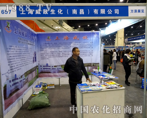 2015�����rˎ��������������������