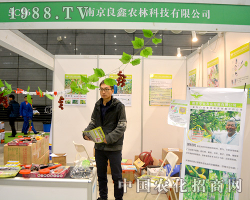 �Ͼ������Ԅ�(chu��ng)��վ��(w��n)�Ϸ�ֲ����(hu��)��