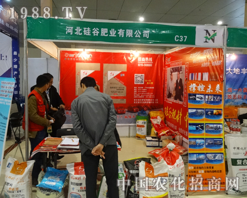     �ӱ���ȷʘI(y��)��2015��ɽ�|���Ϻʝɕ��W���ǈ�