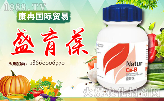 ���_(t��i)��Ƚ���H�Q(m��o)�����޹�˾3