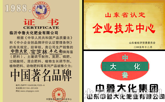 山東中魯大化肥業(yè)有限公司