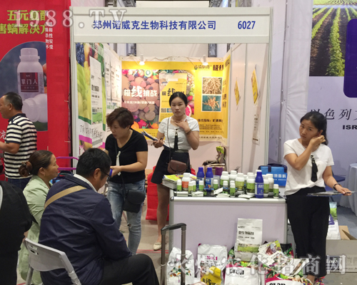 �����Z��������Ƽ�