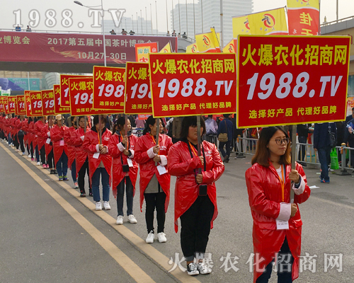 2017��ɽ�|ֲ�������r(n��ng)������Ч������