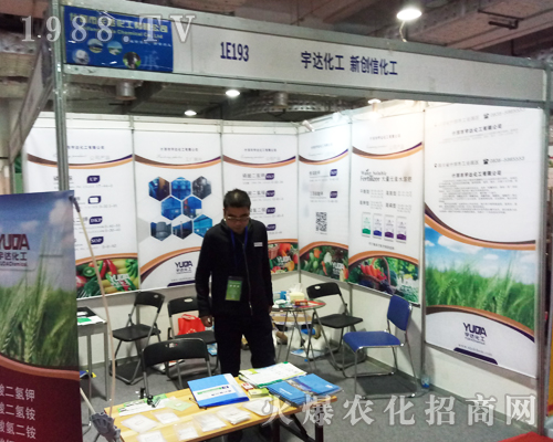 ���_����