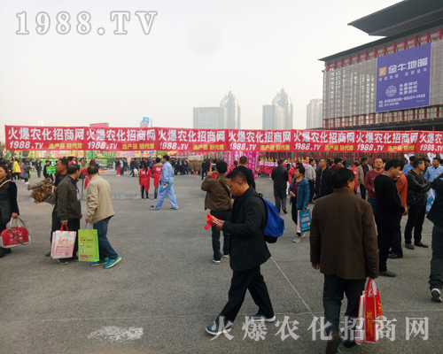     ���r���W(w��ng)��Ӣȫ���Ը����ل�(chu��ng)��չ�óɿ���