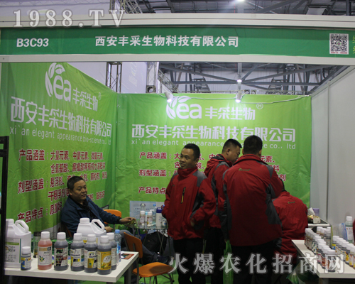 �����S������