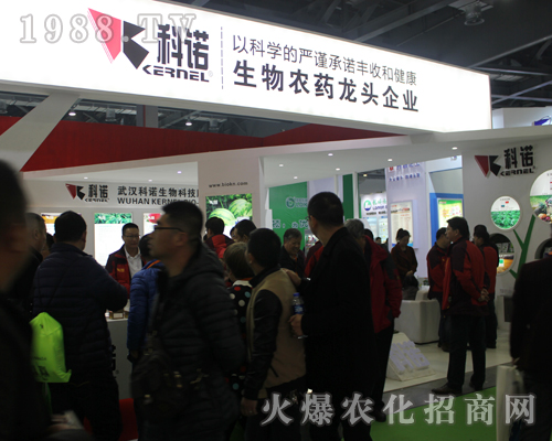 ��h���Z����ӵ�33���Ї�ֲ���p����