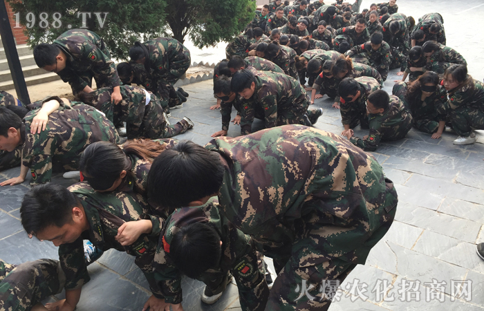 Ŭ�����z�����Ă���ʹ�ࣿ