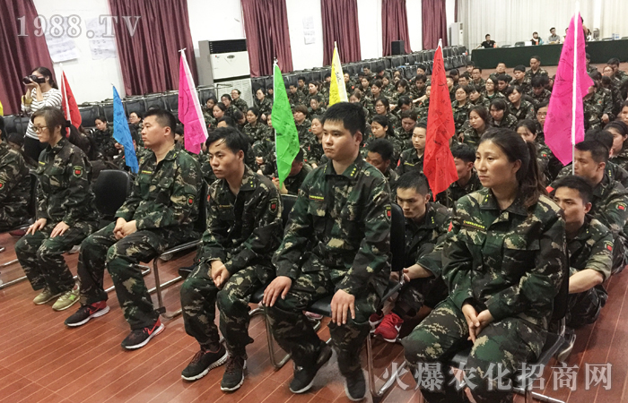 拓展訓(xùn)練感想