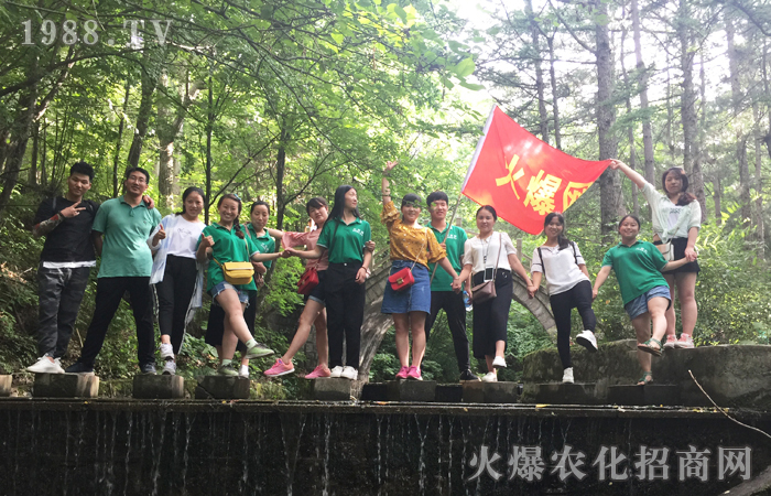 ����֮�p������ֱǰ