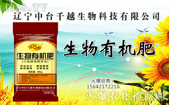 【中臺千越】金犬叩響吉利門,福旺財源滾滾進(jìn)