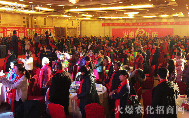 十年火爆網(wǎng),攜手共成長