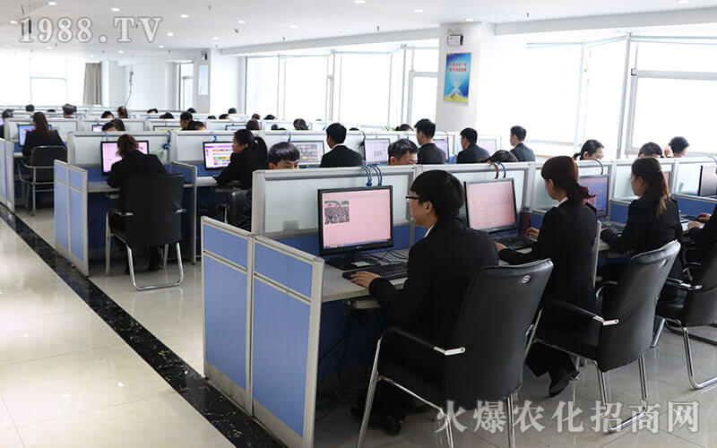 10年火爆網(wǎng) 傳承火爆人 十年磨一劍 礪得梅花香