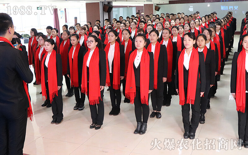 ���Ժ������ǻ���