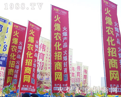 2018���������r(n��ng)ˎ��(hu��)��1988.TV����(zh��ng)***��