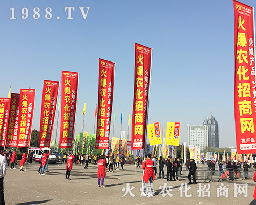     ��21�ú��������r(n��ng)ˎ��(hu��)�ϻ��r(n��ng)���W(w��ng)��Ӣ�ɳ�������(zh��n)��(j��)��