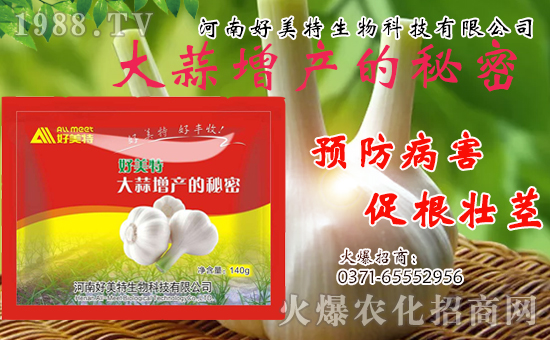 �����������ף������w�����������d�����H���Ҹ���