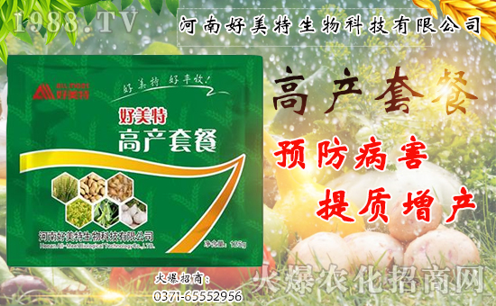 �����������ף������w�����������d¡���H���Ҹ���