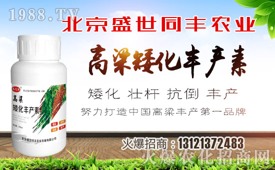 ��ʢ��ͬ�S��ףȫ�����ѹ���󼪣��f��������