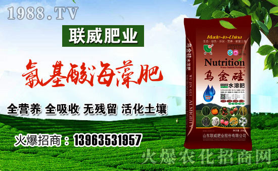 ��(li��n)���ʘI(y��)��ף������µ�һ���﹤�����������������