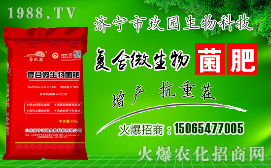 �����@���ףһ·�߁������т����w���������������