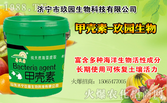 �����@���ףһ·�߁������т����w���������������