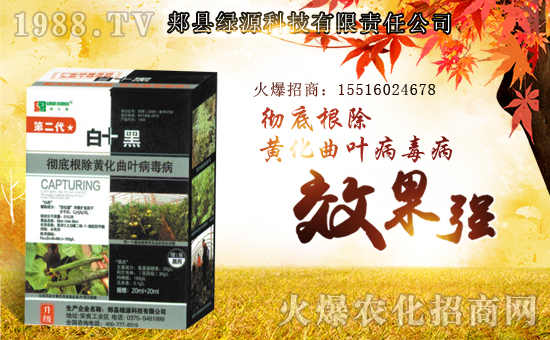 ���GԴ�Ƽ���ף������µ�һ�������w�����������³����f(w��n)��������