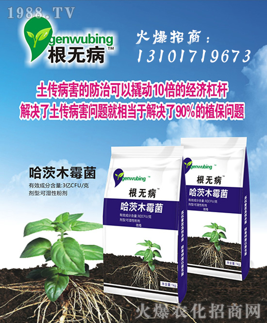 ���Ї�(gu��)���z��ʩ��ȫ�w�T����ף�V������͑�����옷(l��)���f(w��n)��������