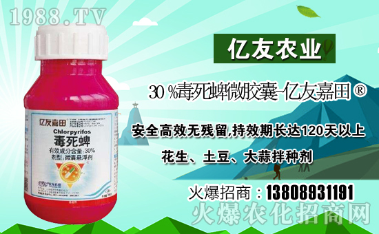 【濟(jì)南億友農(nóng)業(yè)】祝全國(guó)朋友在新的一年里幸福美滿(mǎn),闔家歡樂(lè)!