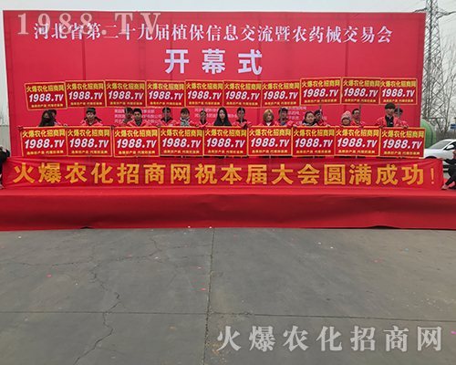 2018�ӱ�ֲ�����ϻ��r(n��ng)���W(w��ng)��Ӣ�ɳ�������(zh��n)����