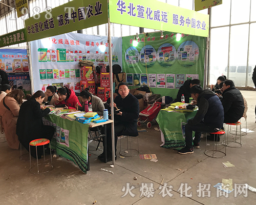 �A���滯���h(yu��n)�Ƽ��ڵ�29�úӱ�ֲ������չȭ�_